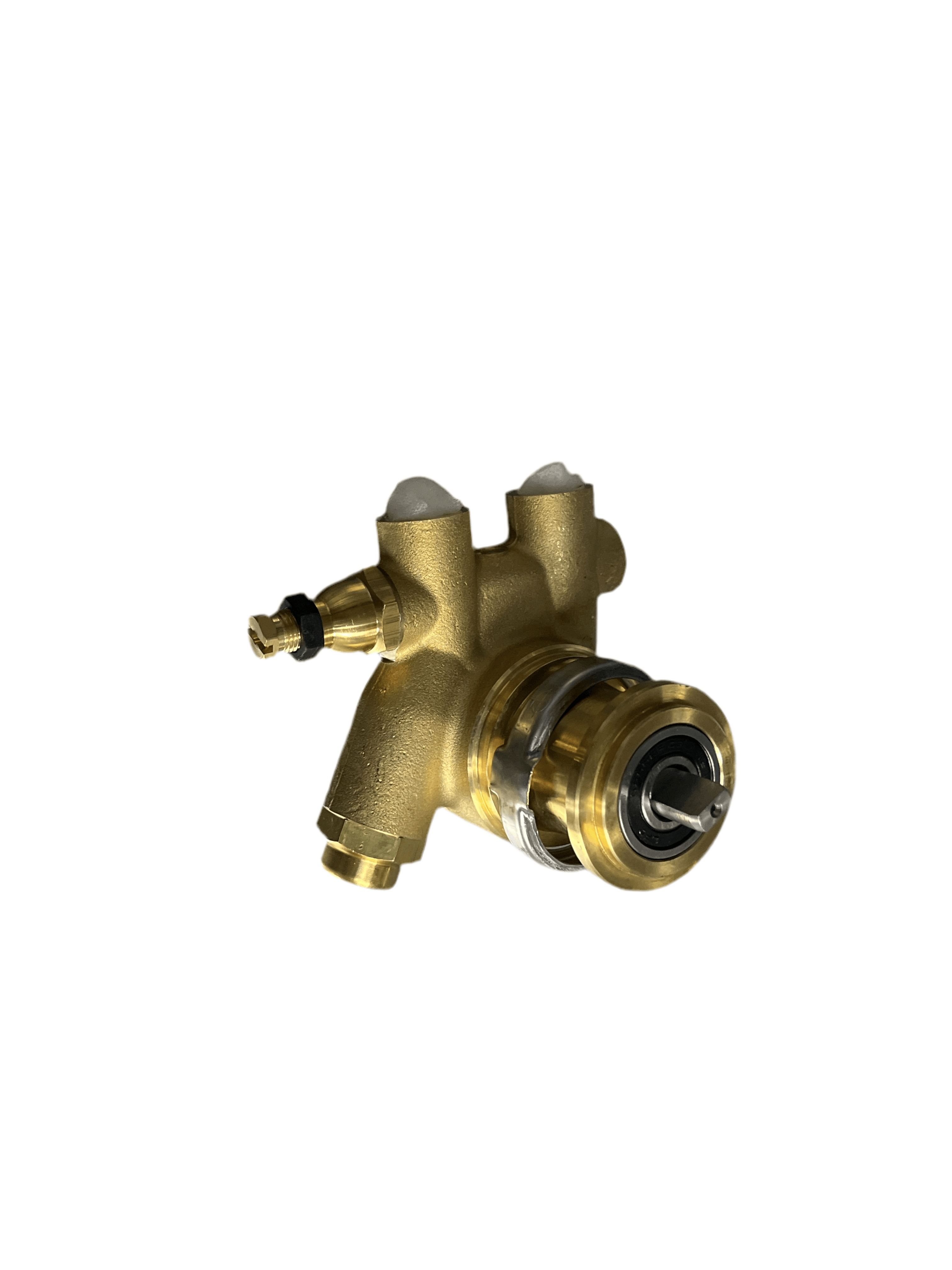 RBEZ4764  ROTARY PUMP 200L/H PA204X