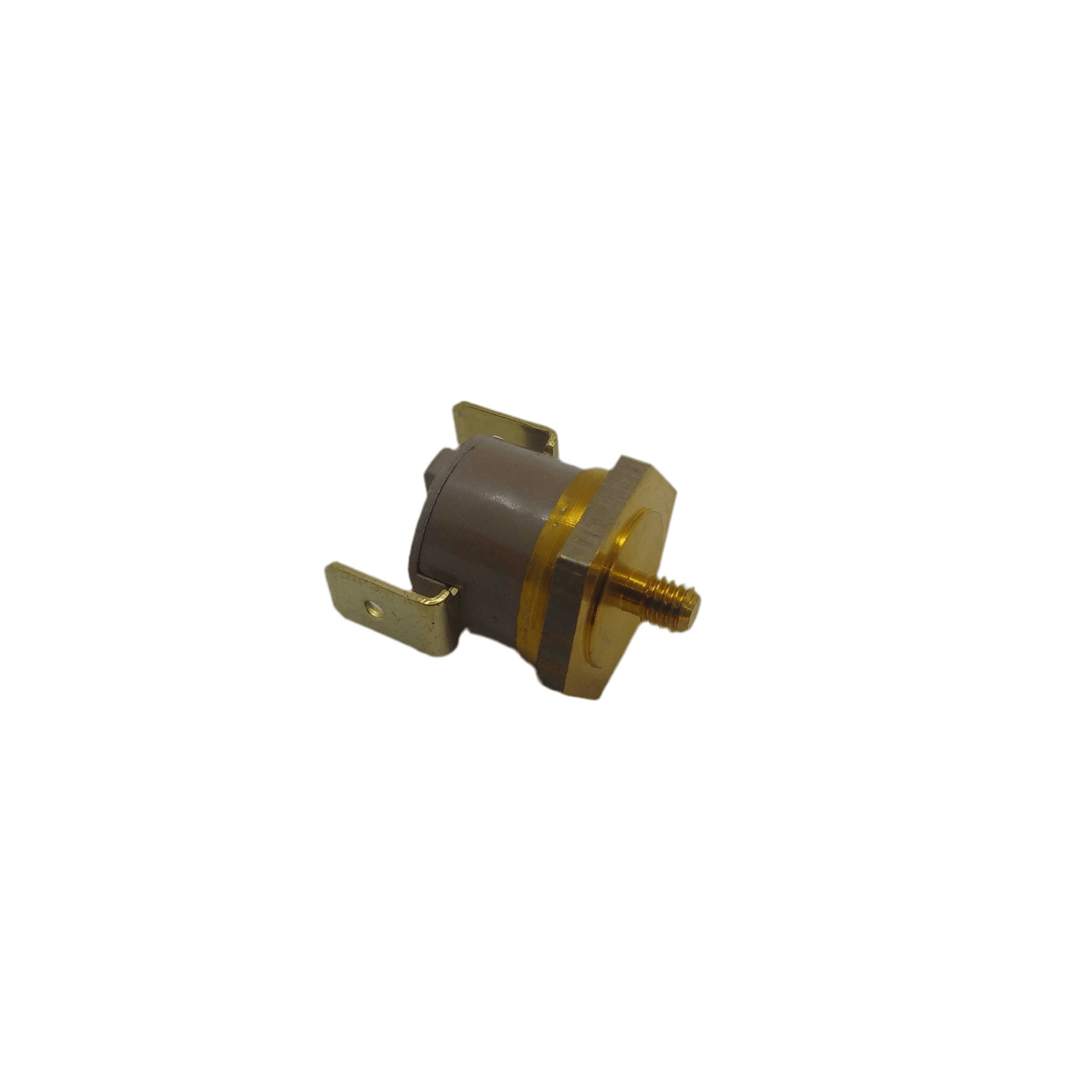 RBEZ029  Safety Thermostat for B2013. 95C. 250V